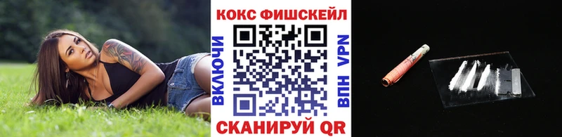 Cocaine Fish Scale  Купить где  Дорогобуж 