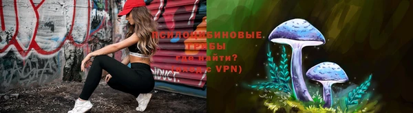 ECSTASY Дмитров