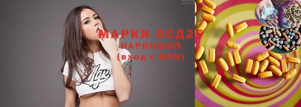 ECSTASY Дмитров