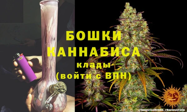 стафф Дмитровск
