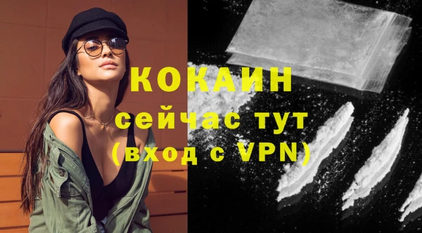 стафф Дмитровск