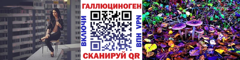 Псилоцибиновые грибы мицелий  Купить где  Дорогобуж 