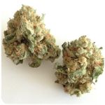 Шишки "White Widow"  (Белая вдова)  Гидропоника -  Бошка VHQ в Дорогобуже